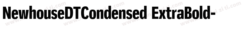 NewhouseDTCondensed ExtraBold字体转换